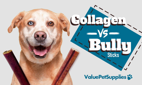 Collagen Sticks vs Bully Sticks - What's the Difference?