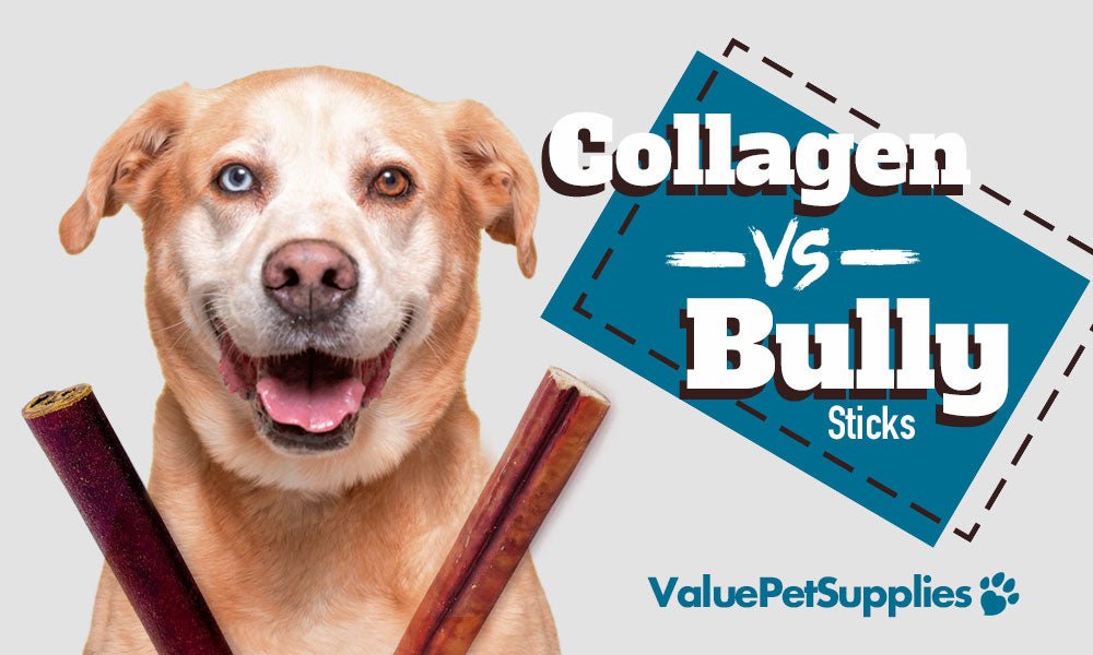 Collagen Sticks vs Bully Sticks - What's the Difference? - ValuePetSupplies