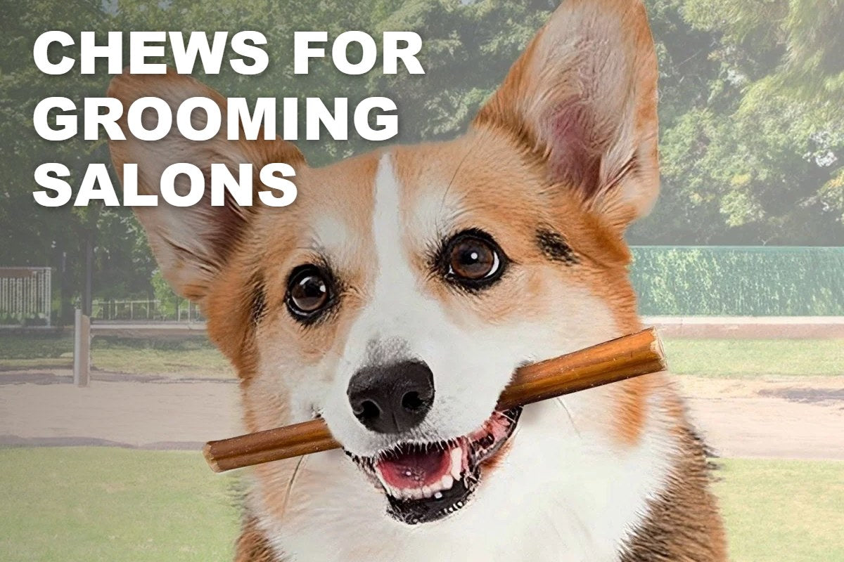Dog Chews for Grooming Salons: An Easy Add-On Sale at Pickup - ValuePetSupplies
