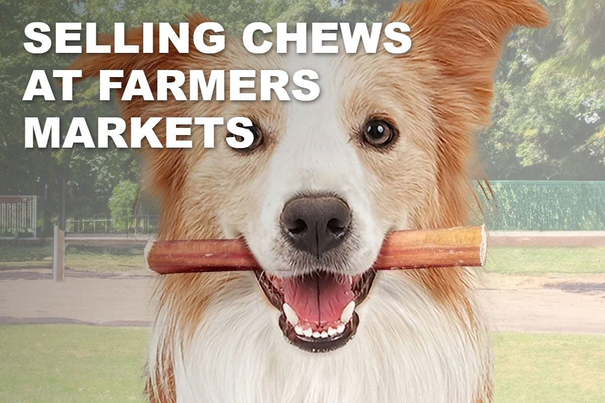 Selling Dog Chews at a Farmers Market: What to Stock and How to Price It - ValuePetSupplies