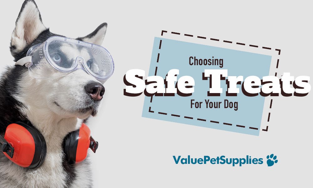 Why You Should Choose Safe Dog Treats for Your Dog - ValuePetSupplies