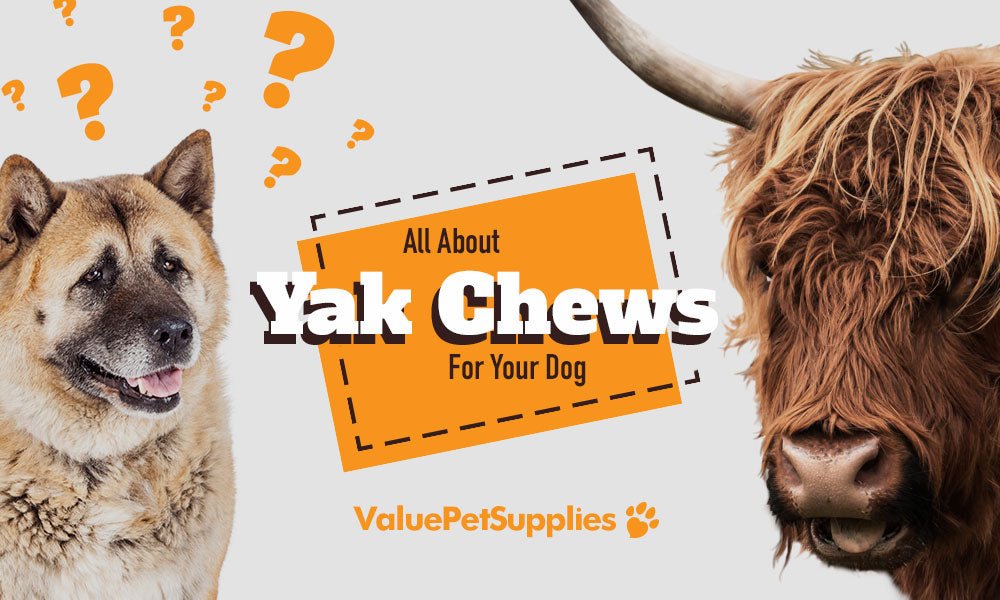 Yak Cheese Chews for Dogs - Everything You Need To Know - ValuePetSupplies