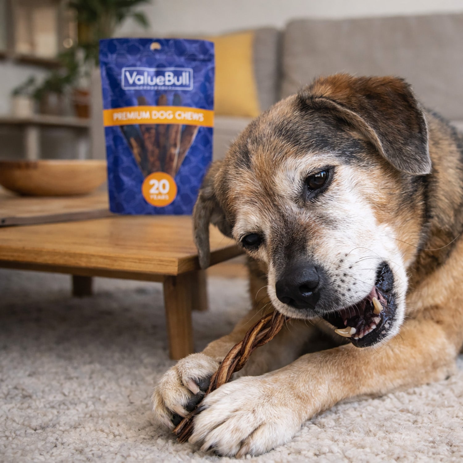 ValueBull Pizzle Twist Dog Chews, Premium Lamb, 40 Count - Lamb - 40 Pizzles