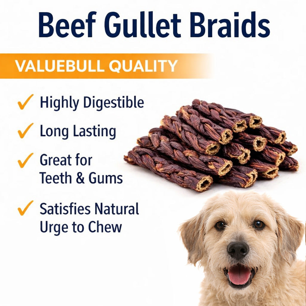 ValueBull Beef Jerky Gullet Braids, Premium Dog Chews, Thick 6 Inch, 25 Count Bulk Pack - Gullet - 25 Braids