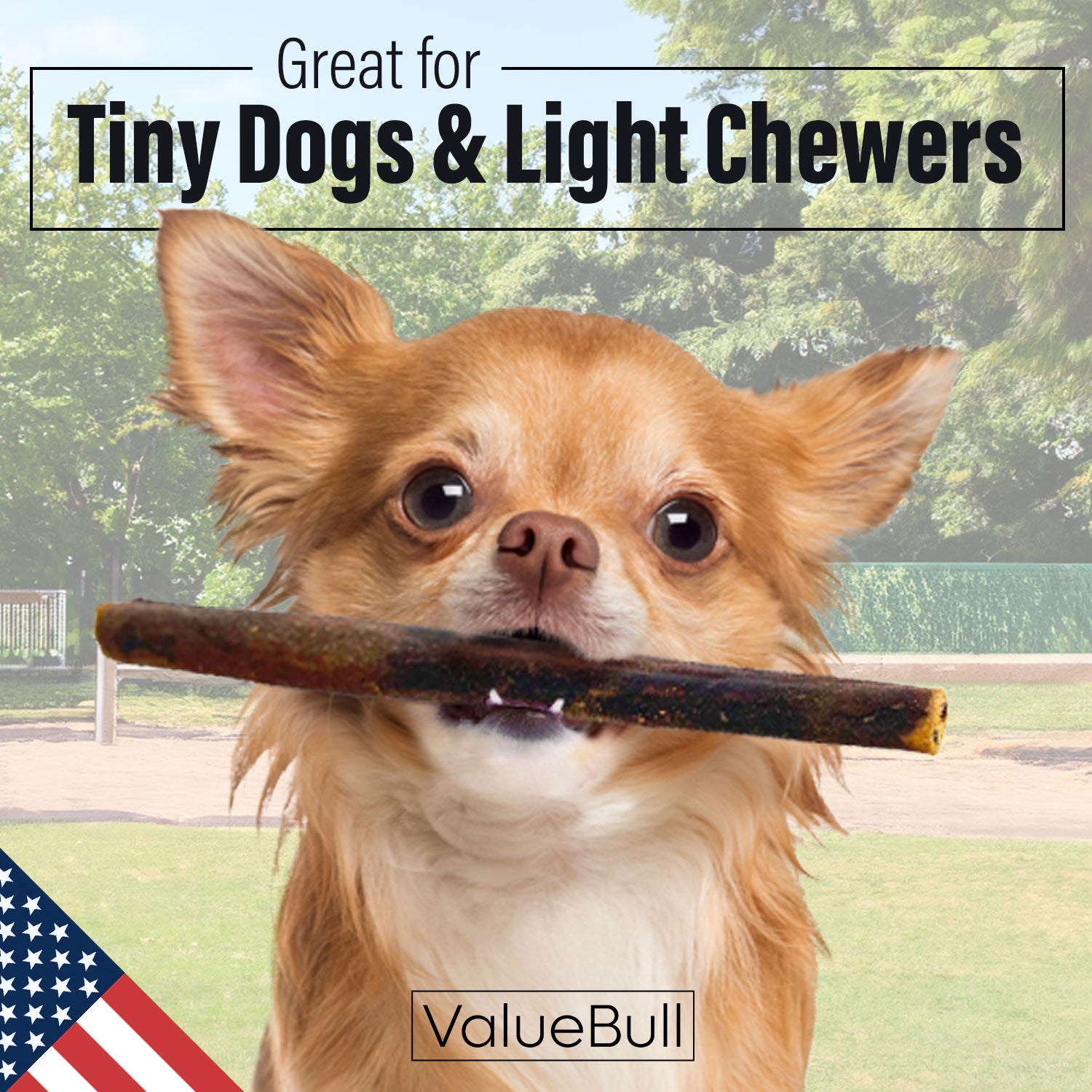 ValueBull USA Collagen Sticks for Small Dogs, 6 Inch Extra Thin Chews, Natural Dog Treats, 50 Count - Extra Thin - 50 Sticks