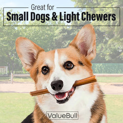 ValueBull Bully Sticks for Small Dogs, Thin 6 Inch, 200 Count Bulk Pack - Thin - 200 Sticks