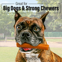 ValueBull Himalayan Yak Cheese Dog Chews, Pumpkin, Large, 5 Count - 5