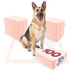 ValuePad USA Plus Puppy Pads, Jumbo 36x36 Inch, 100 Count Bulk Pack