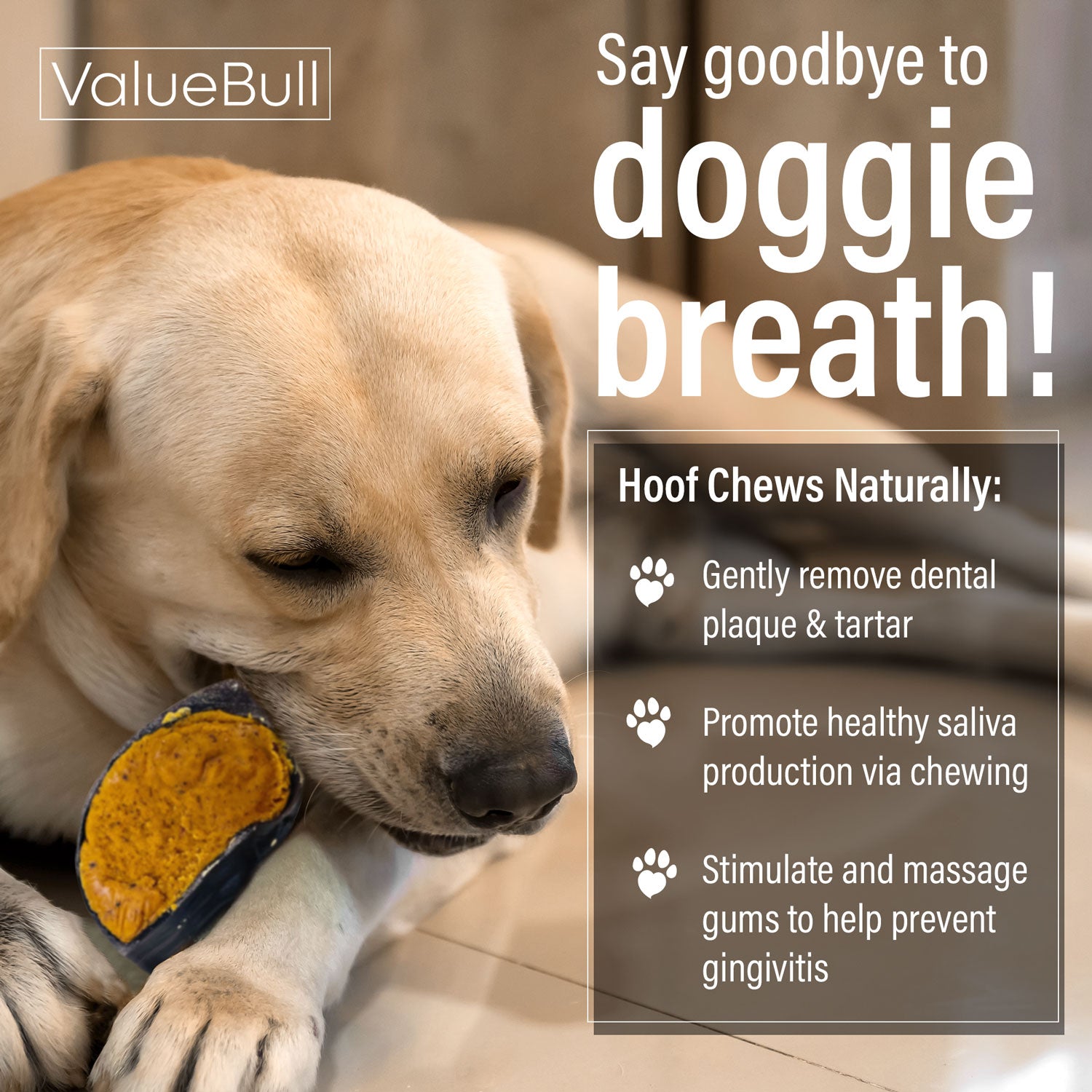 ValueBull Cheese Stuffed Beef Hooves Dog Chews, 10 Count