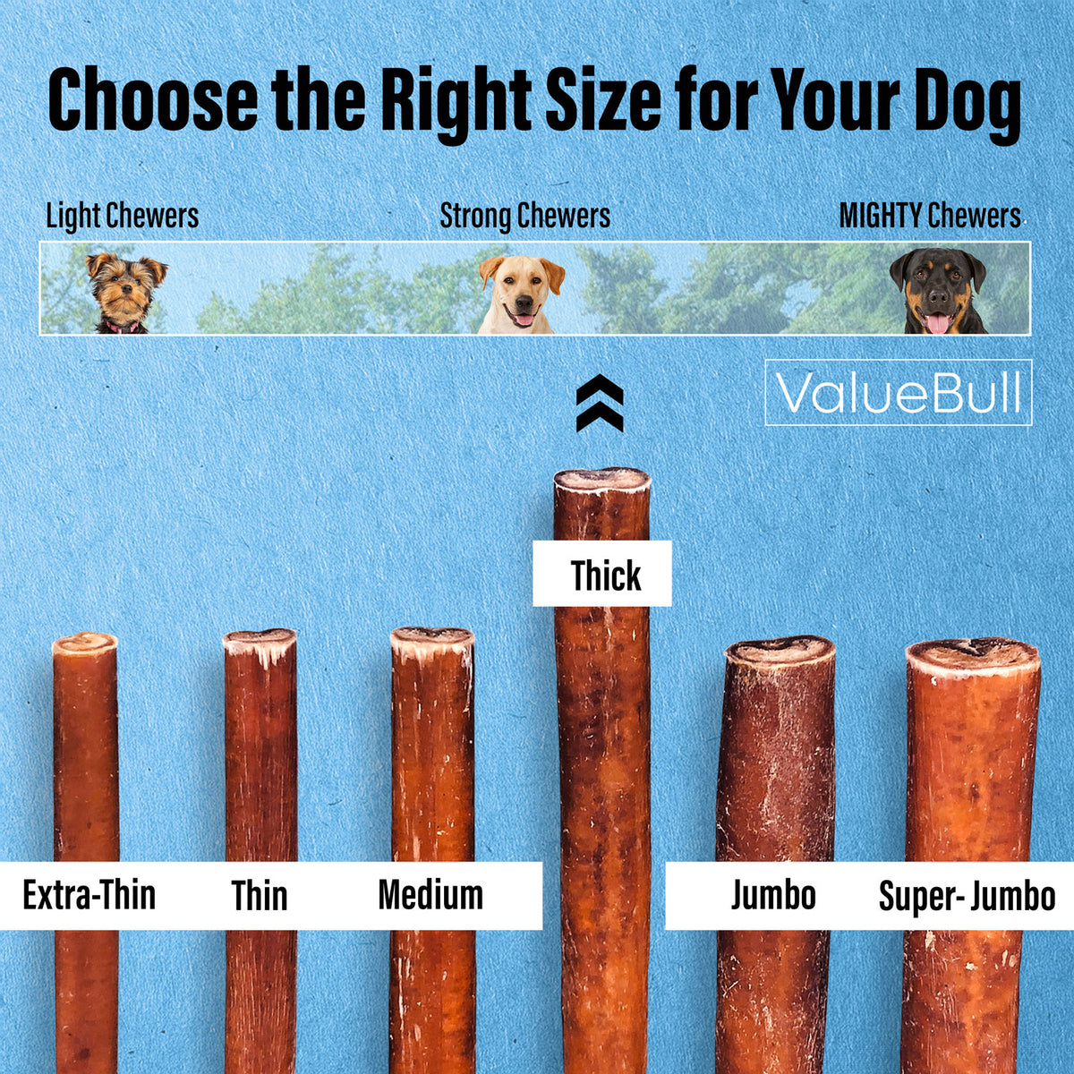 ValueBull Odor Free Bully Sticks for Large Dogs, Thick 6 Inch, 50 Count