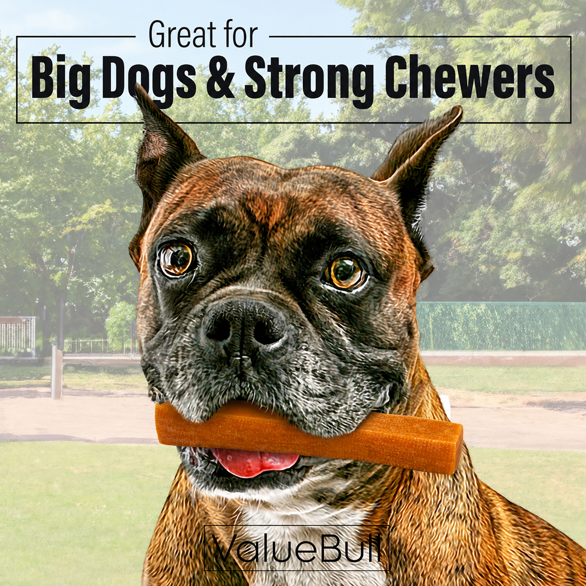 ValueBull Himalayan Yak Cheese Dog Chews, Pumpkin, Large, 100 Count Wholesale Pack - 100