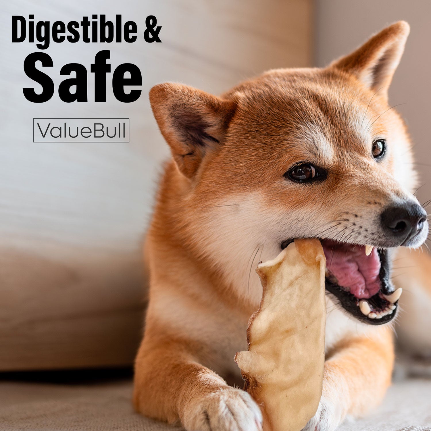 ValueBull USA Collagen Chips Dog Chews, Natural Long-Lasting Dog Treats, 1 Pound - Natural - 1 Pound
