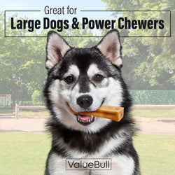 ValueBull Himalayan Yak Cheese Dog Chews, Extra Large, 20 lb Bulk Pack - X-Large - 20 LB