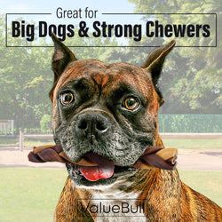ValueBull Collagen Braided Sticks for Dogs, 6 Inch Thick Chews, Natural Long-Lasting Dog Treats, 200 Count Bulk Pack - Thick - 200 Braids