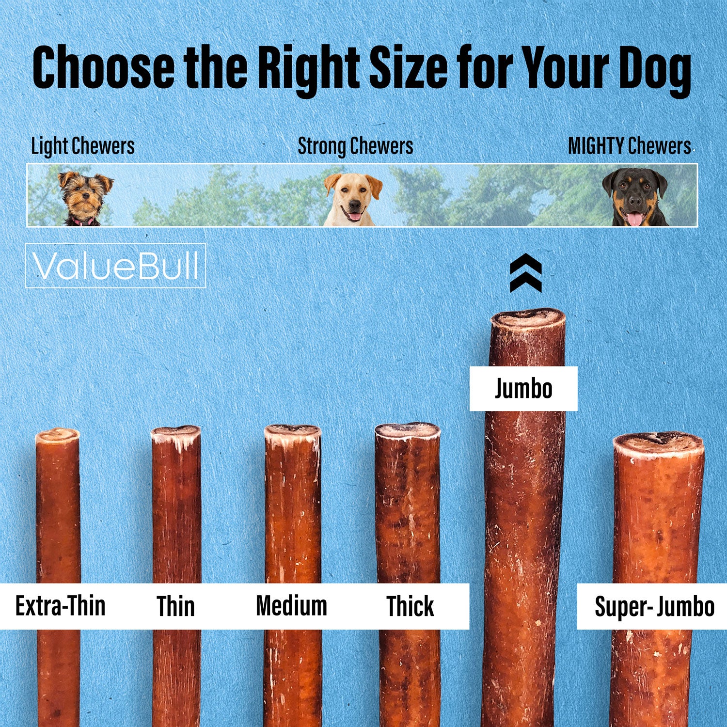 ValueBull Bully Sticks for Large Dogs, Jumbo 12 Inch, 10 Count - Jumbo - 10 Sticks