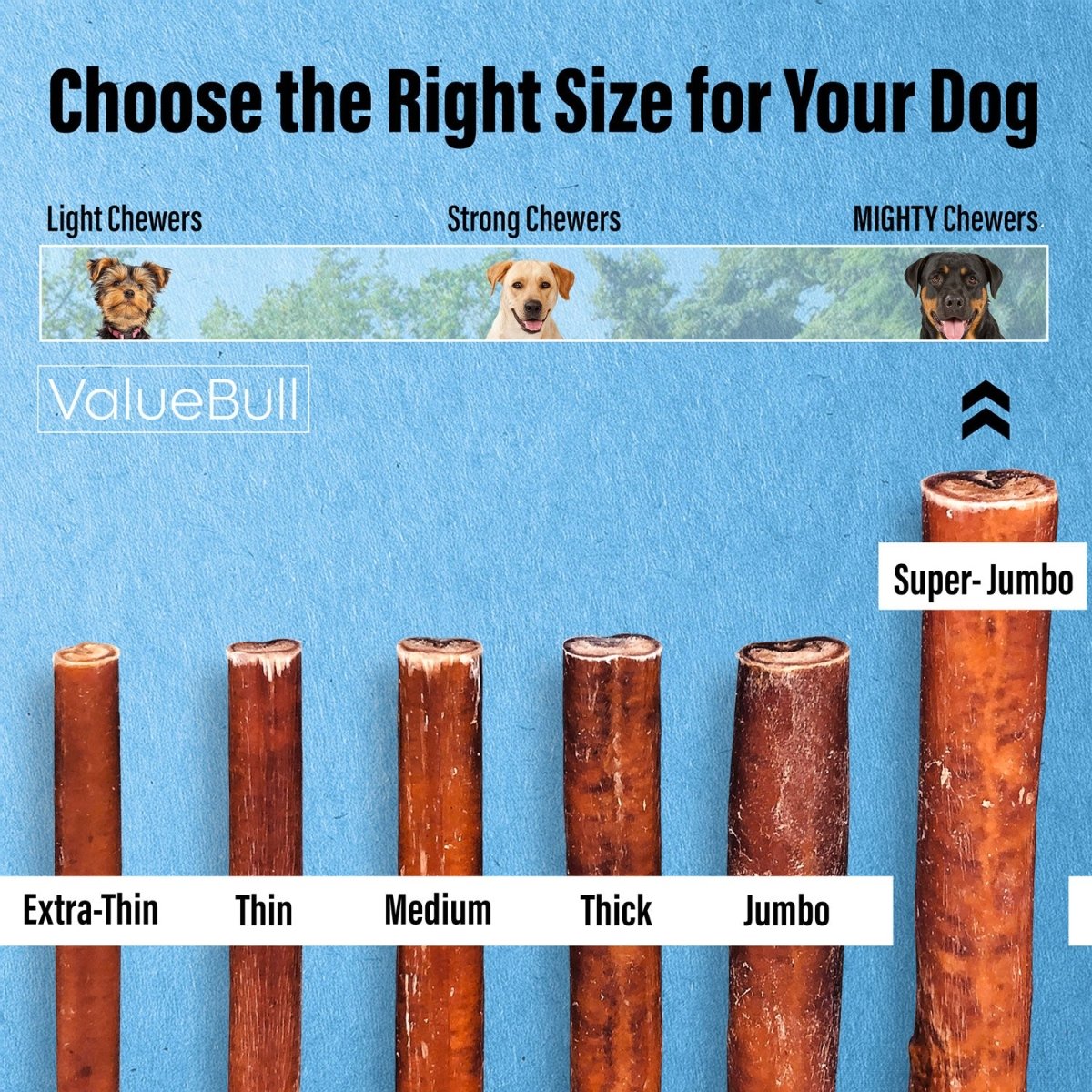 ValueBull Bully Sticks for Large Dogs, Super Jumbo 6 Inch, 10 Count - Super Jumbo - 10 Sticks