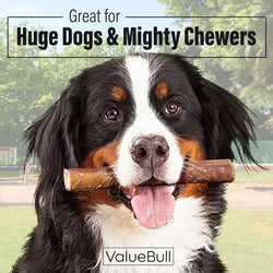 ValueBull Bully Sticks for Large Dogs, Super Jumbo 6 Inch, 10 Count - Super Jumbo - 10 Sticks