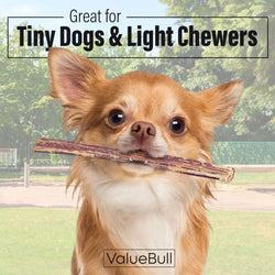 ValueBull Bully Sticks for Small Dogs, Extra Thin 6 Inch, 100 Count Bulk Pack - ValuePetSupplies