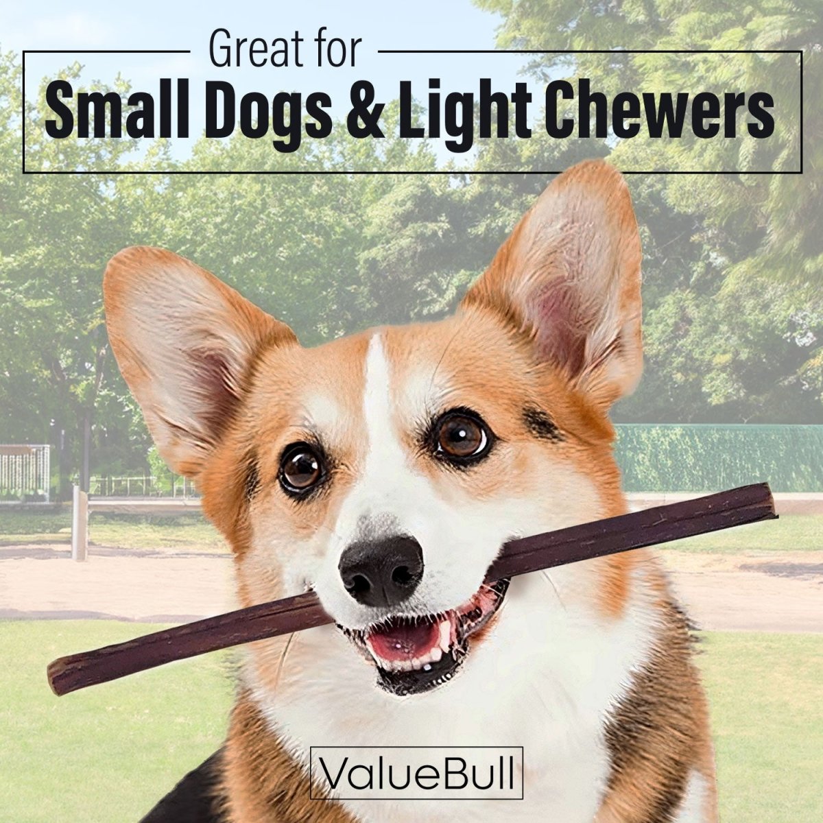 ValueBull Bully Sticks for Small Dogs, Thin 12 Inch, 400 Count WHOLESALE PACK - ValuePetSupplies