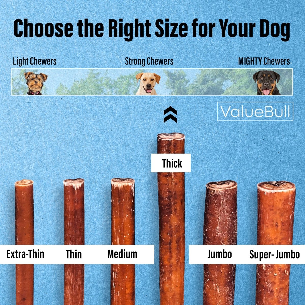 ValueBull Bully Sticks for Dogs, Thick 12 Inch, 200 Count BULK PACK - ValuePetSupplies