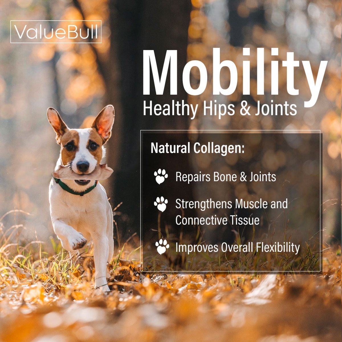 ValueBull USA Collagen Chips, Dog Chews, Natural Beef, 50 Count - ValuePetSupplies