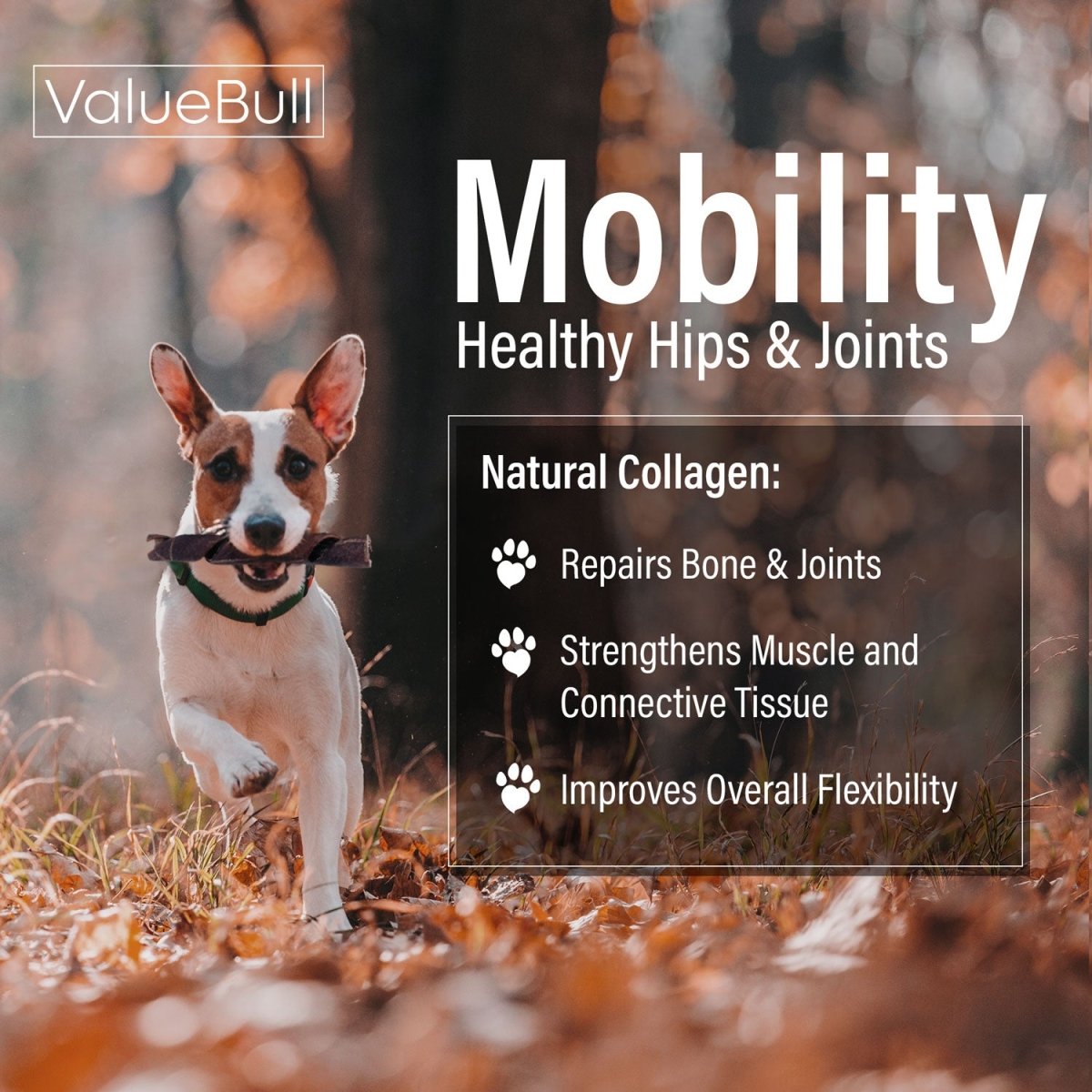 ValueBull USA Collagen Dog Chews Variety Mix, Fun Shapes, 5 Pounds BULK PACK - ValuePetSupplies