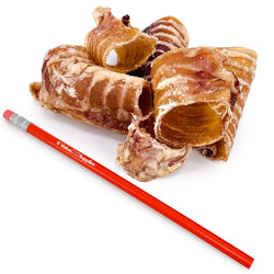 ValueBull USA Beef Trachea Bites for Small Dogs, 2 Pounds - ValuePetSupplies