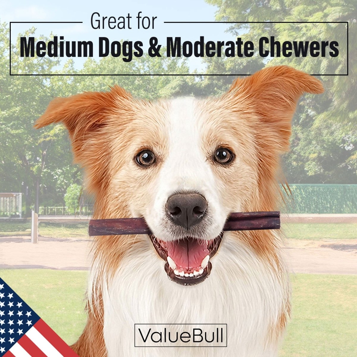 ValueBull USA Collagen Sticks for Dogs, 6 Inch Medium Chews, Natural Long-Lasting Dog Treats, 400 Count Wholesale Pack - Medium - 400 Sticks