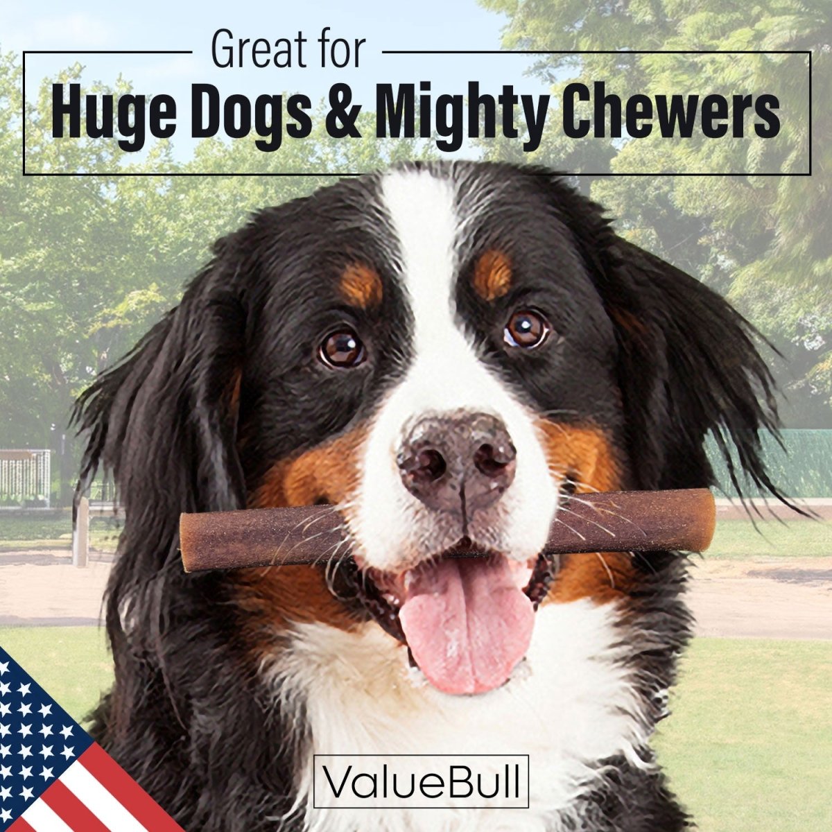 ValueBull USA Collagen Sticks for Dogs, 6 Inch Super Jumbo Chews, Natural Long - Lasting Dog Treats, 25 Count - ValuePetSupplies
