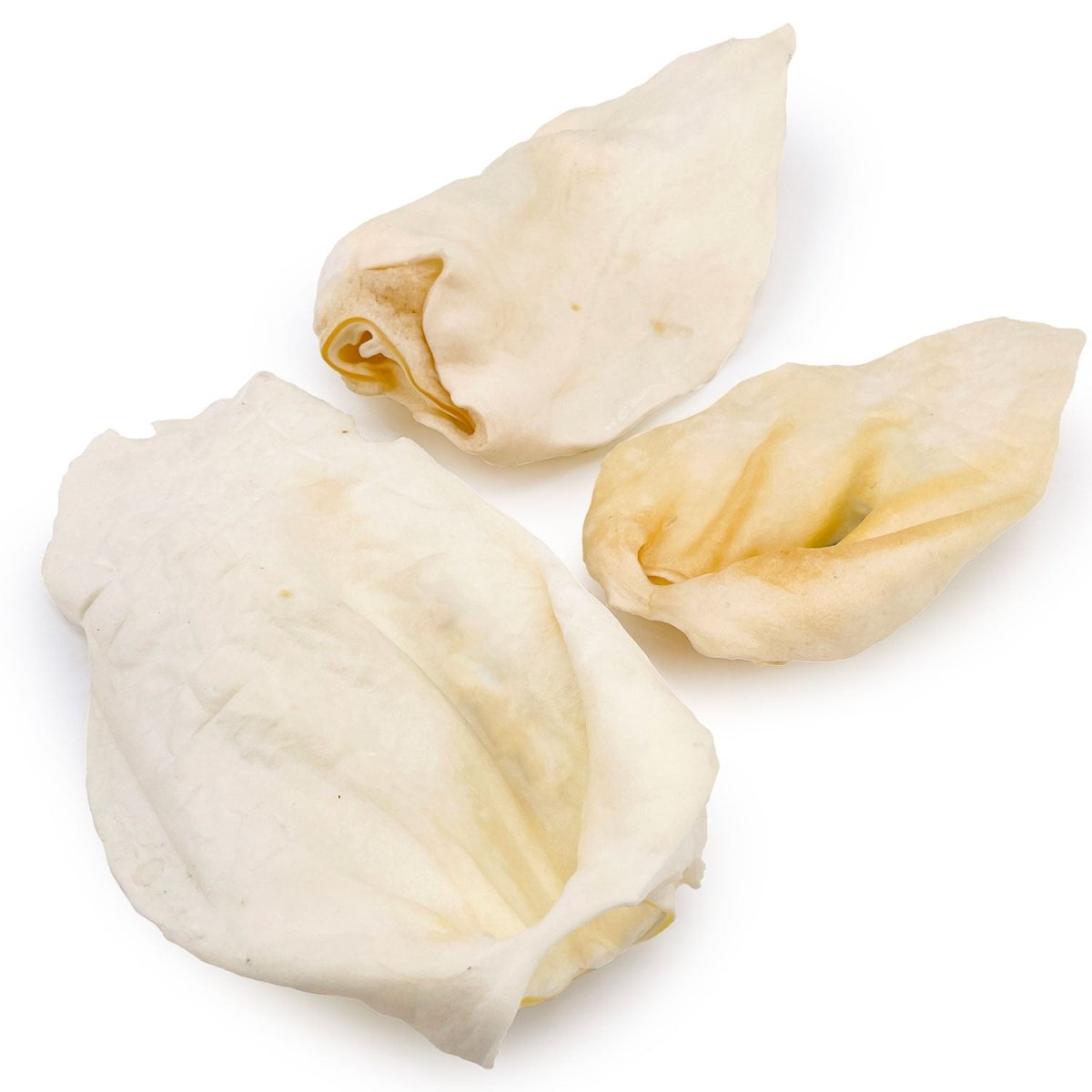 ValueBull Premium Cow Ears, Large, 200 Count BULK PACK - ValuePetSupplies