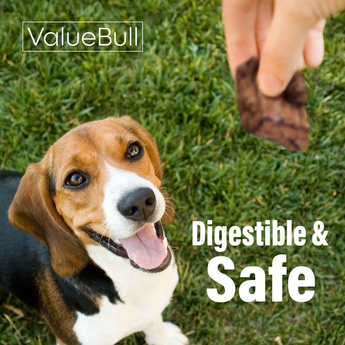 ValueBull Beef Lung Wafers, Premium 20 Pounds Wholesale Pack - Wafers - 20 Pound