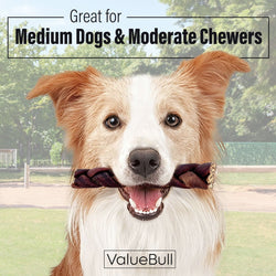 ValueBull Collagen Braided Sticks for Dogs, 6 Inch Medium Chews, Natural Long - Lasting Dog Treats, 10 Count - ValuePetSupplies