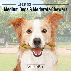 ValueBull Buffalo Collagen Braided Sticks for Dogs, 6 Inch Medium Chews, Natural Long - Lasting Dog Treats, 200 Count Wholesale Pack - ValuePetSupplies