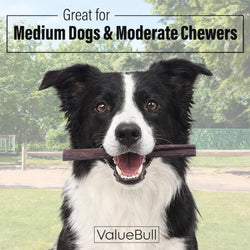 ValueBull Buffalo Collagen Sticks for Dogs, 6 Inch Medium Chews, Natural Long - Lasting Dog Treats, 100 Count Bulk Pack - ValuePetSupplies