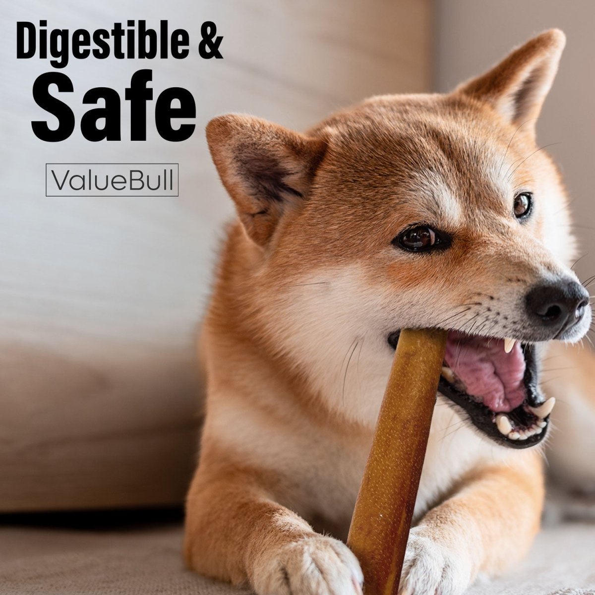 ValueBull Buffalo Collagen Sticks for Dogs, 6 Inch Super Jumbo Chews, Natural Long - Lasting Dog Treats, 50 Count - ValuePetSupplies