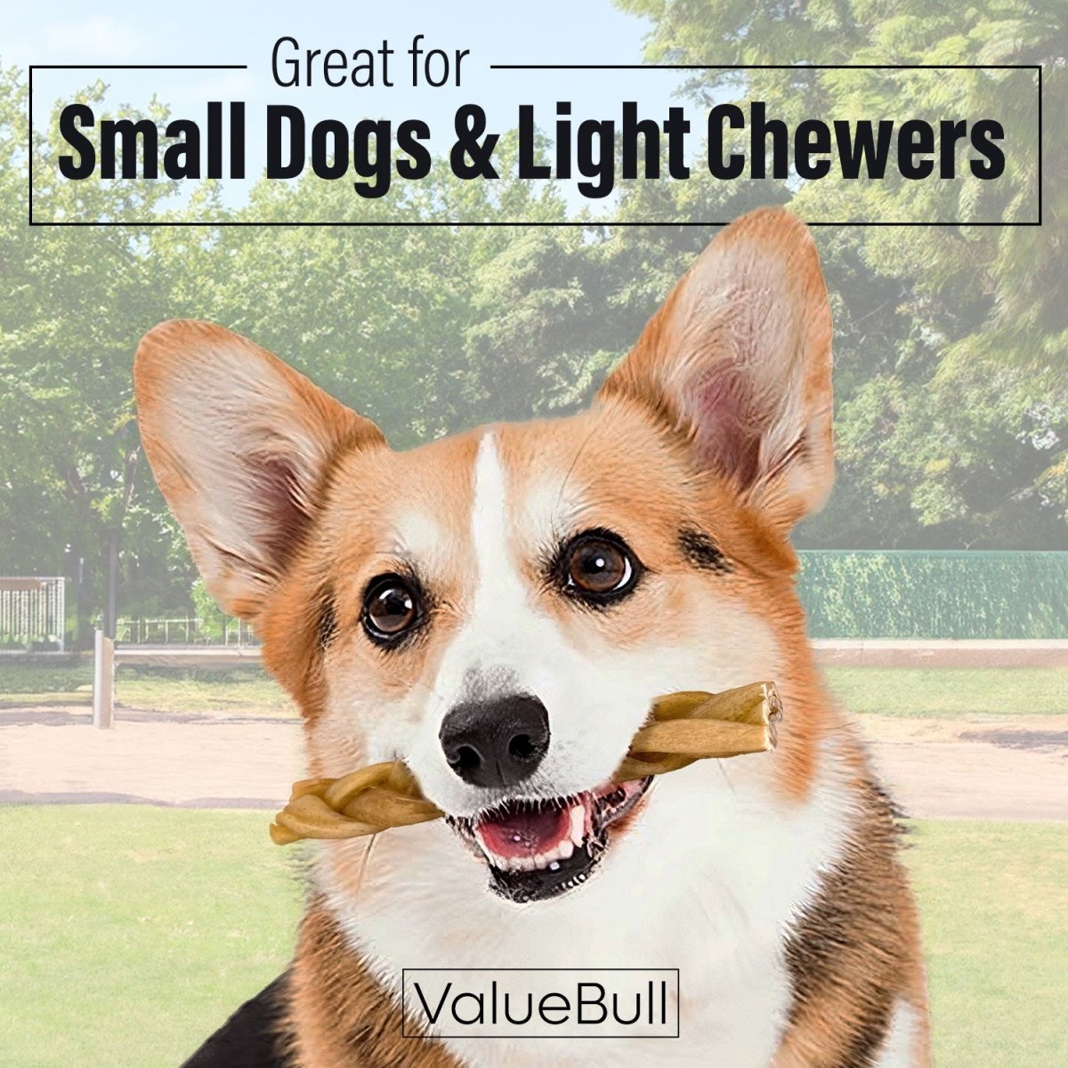 ValueBull Buffalo Collagen Braided For Dogs, Bully Sticks & Rawhide Alternative, Thin 6 Inch, 100 ct BULK PACK - ValuePetSupplies