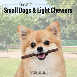 ValueBull Buffalo Collagen Sticks for Small Dogs, 6 Inch Thin Chews, Natural Dog Treats, 200 Count Bulk Pack - ValuePetSupplies