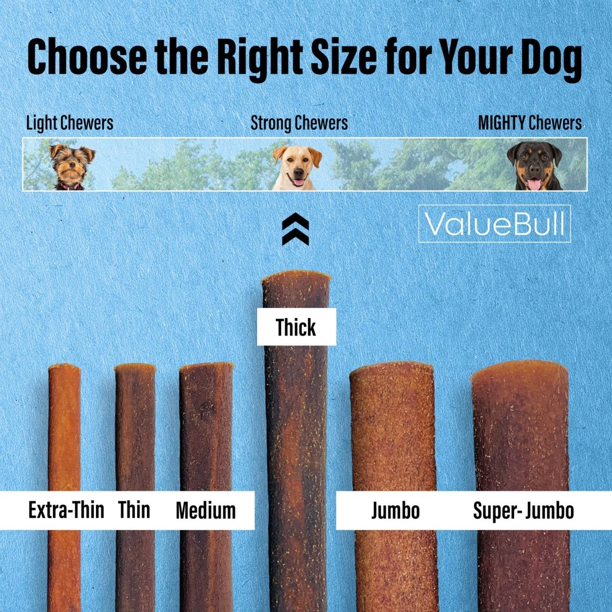 ValueBull Collagen Sticks for Dogs, 12 Inch Thick Chews, Natural Long-Lasting Dog Treats, 100 Count Bulk Pack - Thick - 100 Sticks