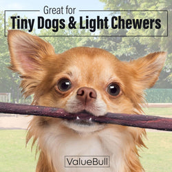 ValueBull Collagen Sticks For Small Dogs, Bully Sticks & Rawhide Alternative, X - Thin 12 Inch, 100 ct BULK PACK - ValuePetSupplies