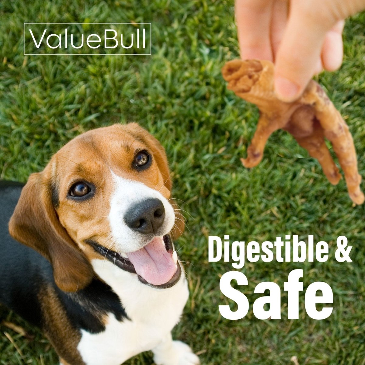 ValueBull Chicken Feet for Dogs, 400 Count Bulk Pack - Chicken Feet - 400 Feet