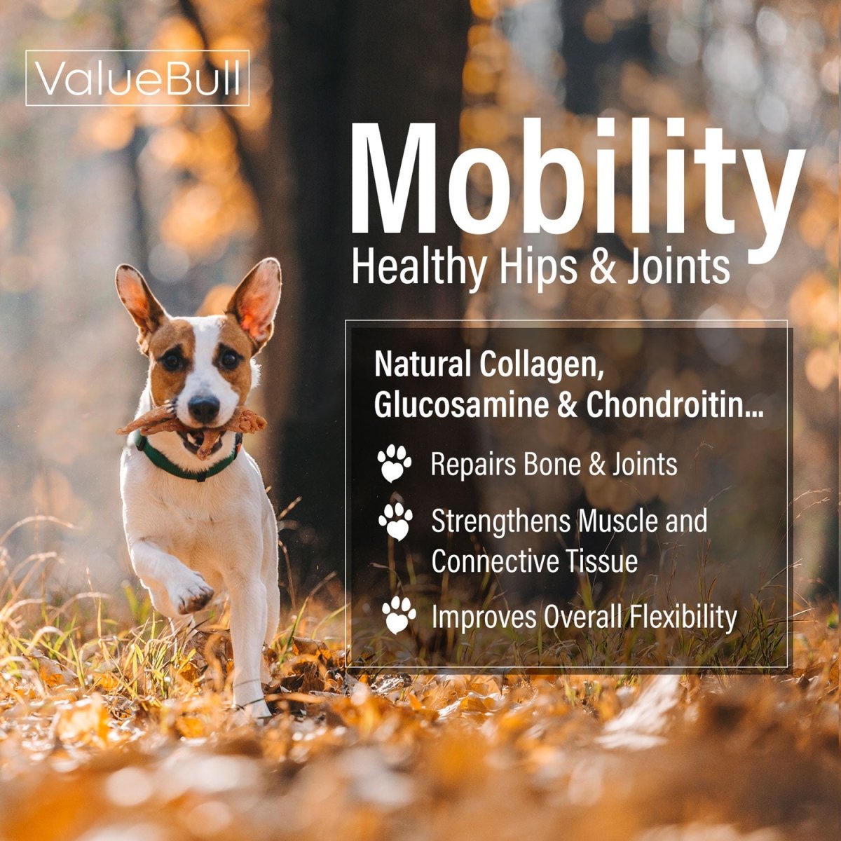 ValueBull Chicken Feet for Dogs, 800 Count Wholesale Pack - ValuePetSupplies