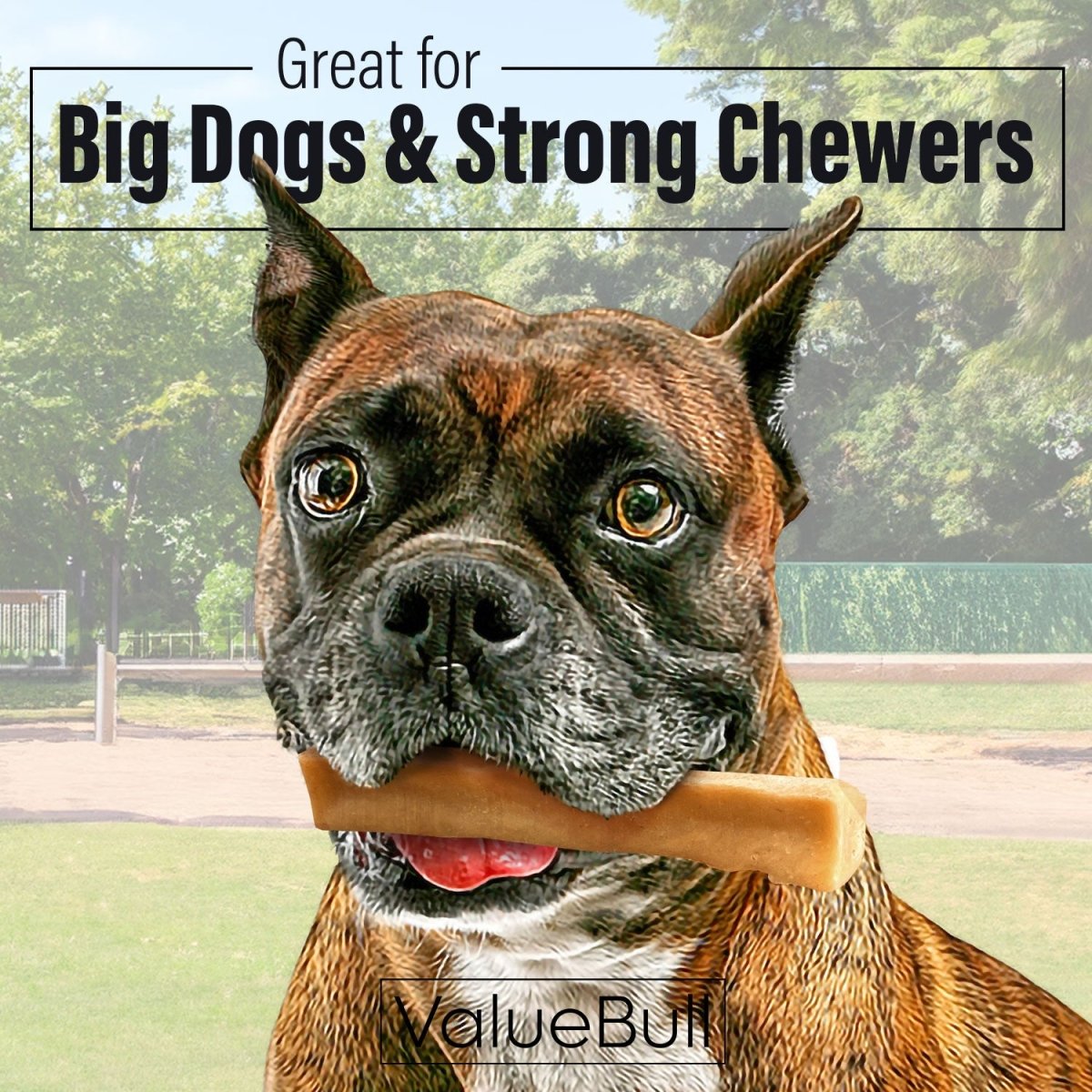 ValueBull Himalayan Yak Cheese Dog Chews, Large, 10 ct - Large - 10 Bars