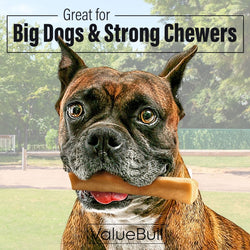 ValueBull Himalayan Yak Cheese Dog Chews, Large, 10 lb Bulk Pack - ValuePetSupplies