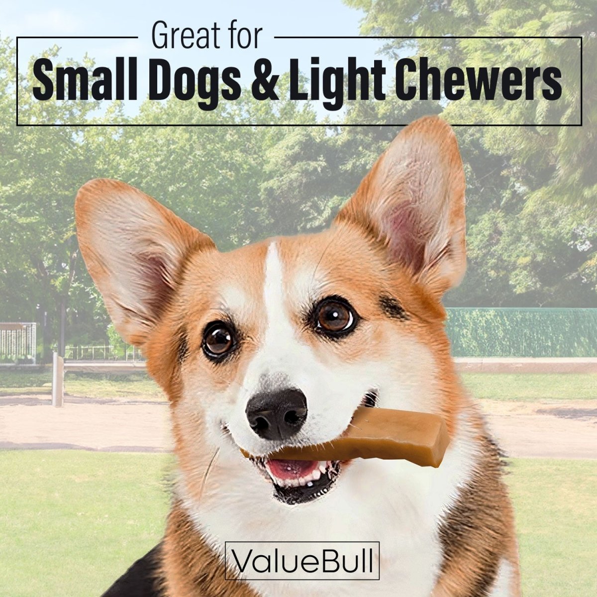 ValueBull Himalayan Yak Cheese Dog Chews, Small, 100 ct Wholesale Pack - Small - 100 Bars