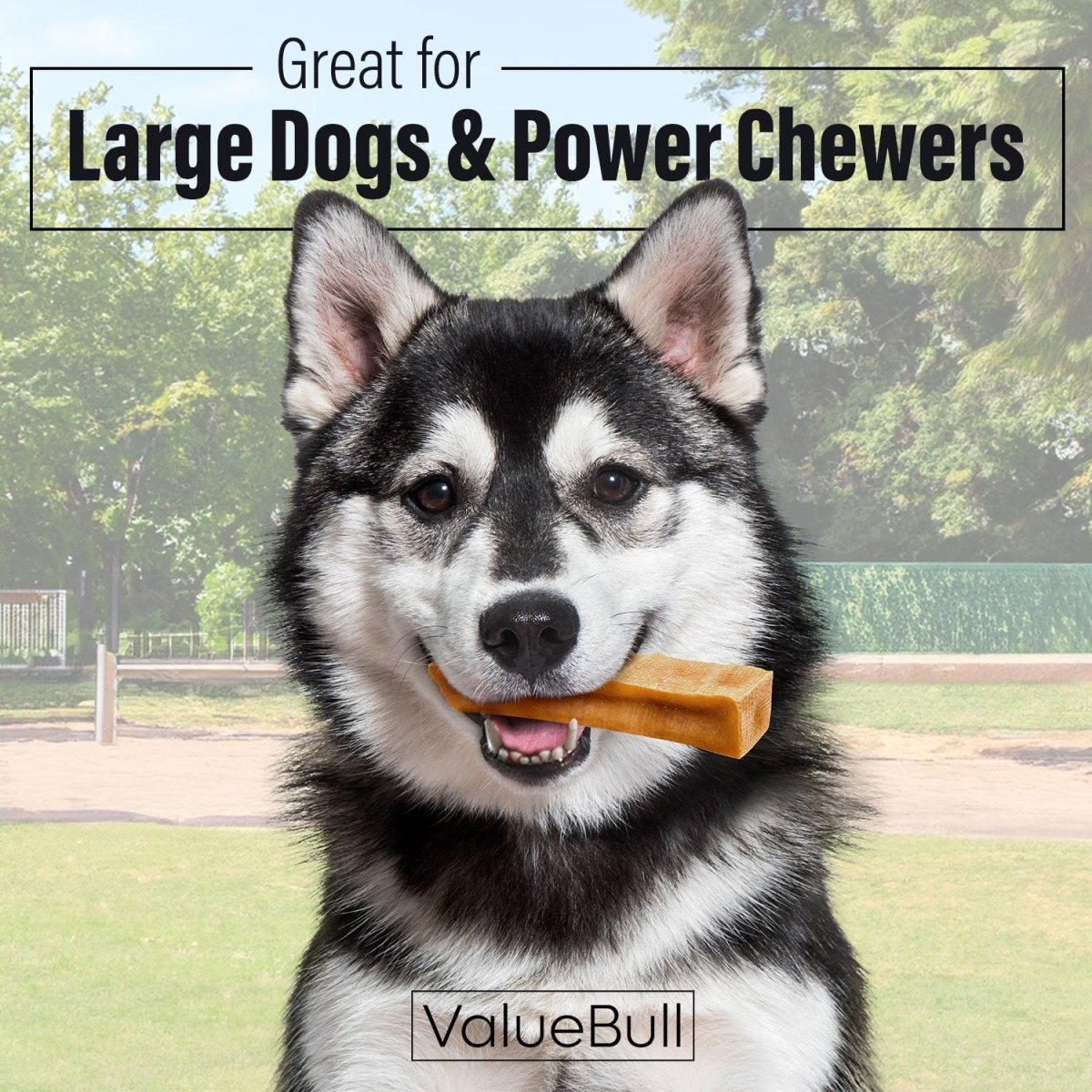 ValueBull Himalayan Yak Cheese Dog Chews, Extra Large, 40 lb Wholesale Pack - X-Large