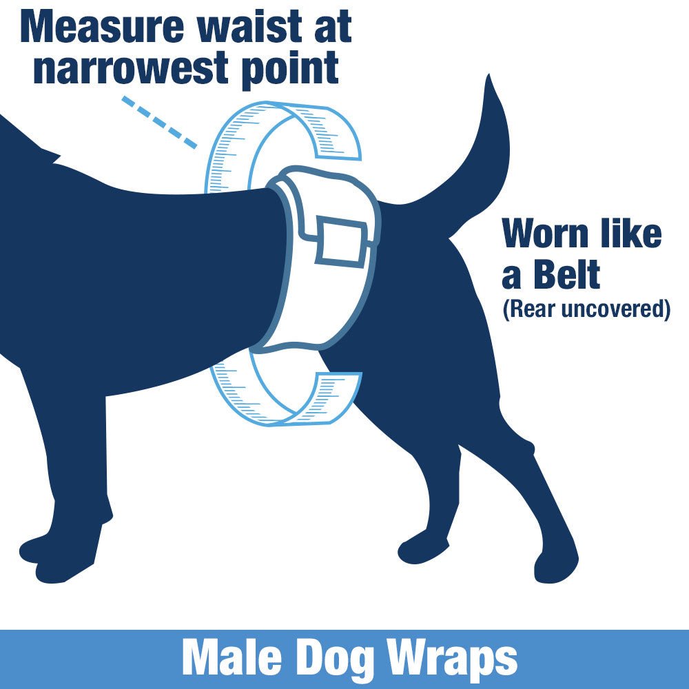 ValueWrap Male Wraps, Disposable Dog Diapers, 1 - Tab Large, Lavender, 48 Count - ValuePetSupplies