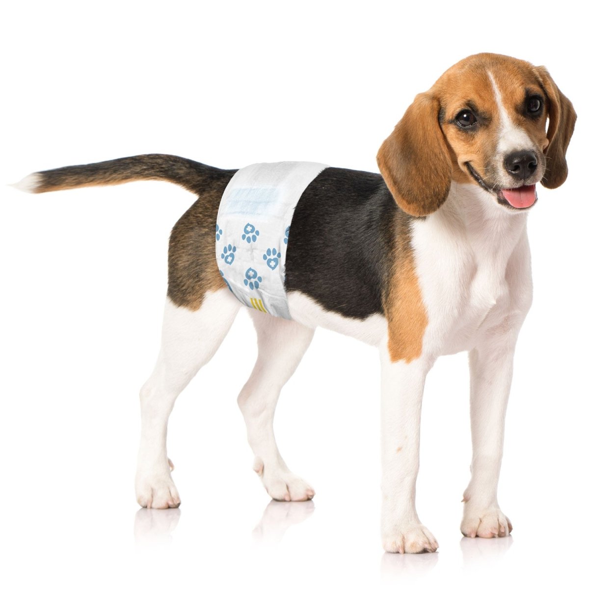 ValueWrap Male Wraps, Disposable Dog Diapers, 1 - Tab Medium, Lavender, 72 Count - ValuePetSupplies