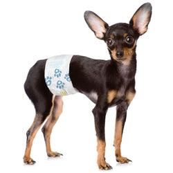 ValueWrap Male Wraps, Disposable Dog Diapers, 1 - Tab X - Small, 72 Count - ValuePetSupplies