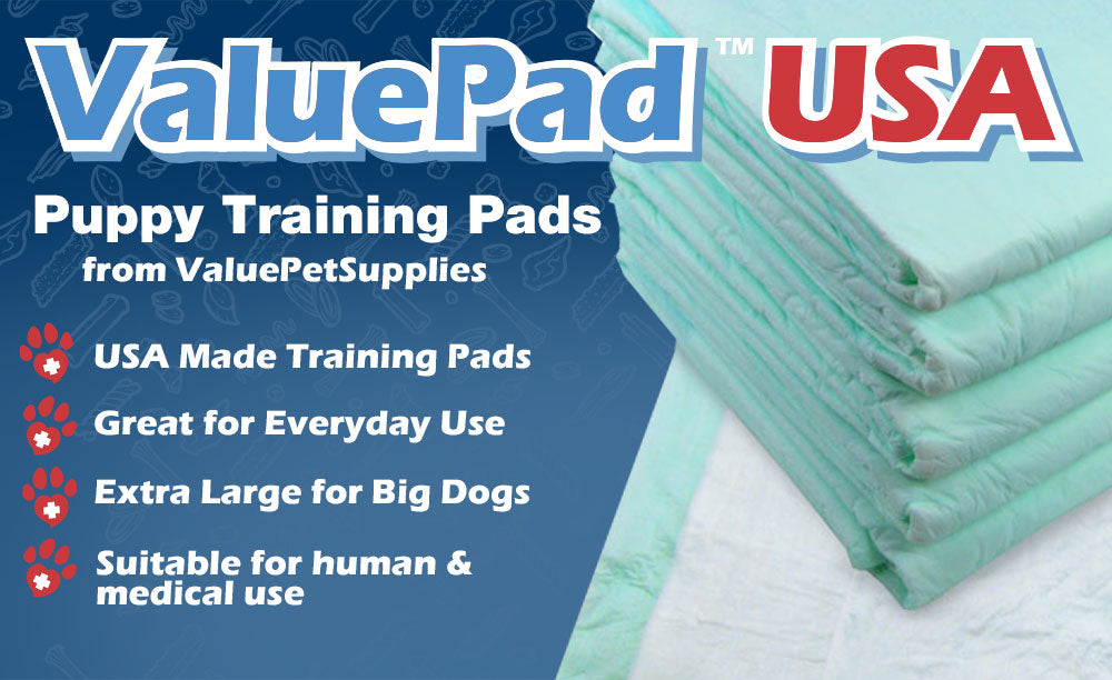 ValuePad USA Puppy Pads, Large 30x30 Inch, 600 Count WHOLESALE PACK