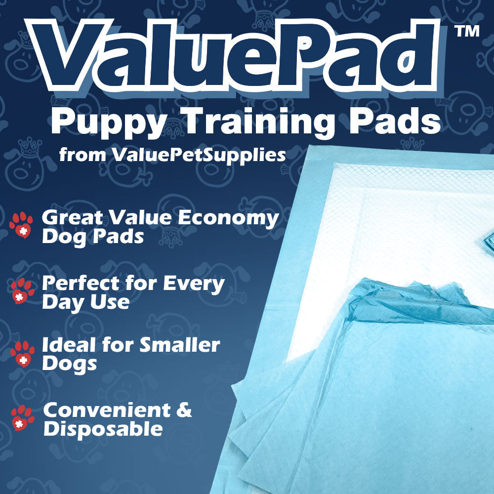 ValuePad Puppy Pads, Large 28x30 Inch, 100 Count